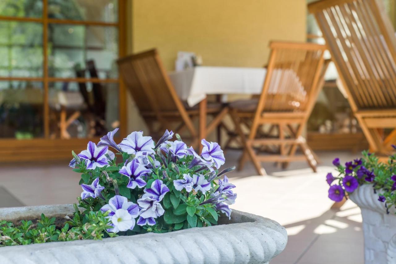 Regia Panzio Bed & Breakfast Halaszi Exterior photo